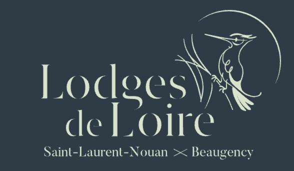 Lodge De Loire - B & B Proche Chambord Saint-Laurent-Nouan ภายนอก รูปภาพ