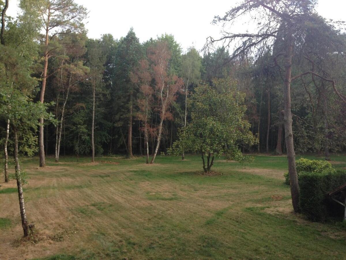 Lodge De Loire - B & B Proche Chambord Saint-Laurent-Nouan ภายนอก รูปภาพ